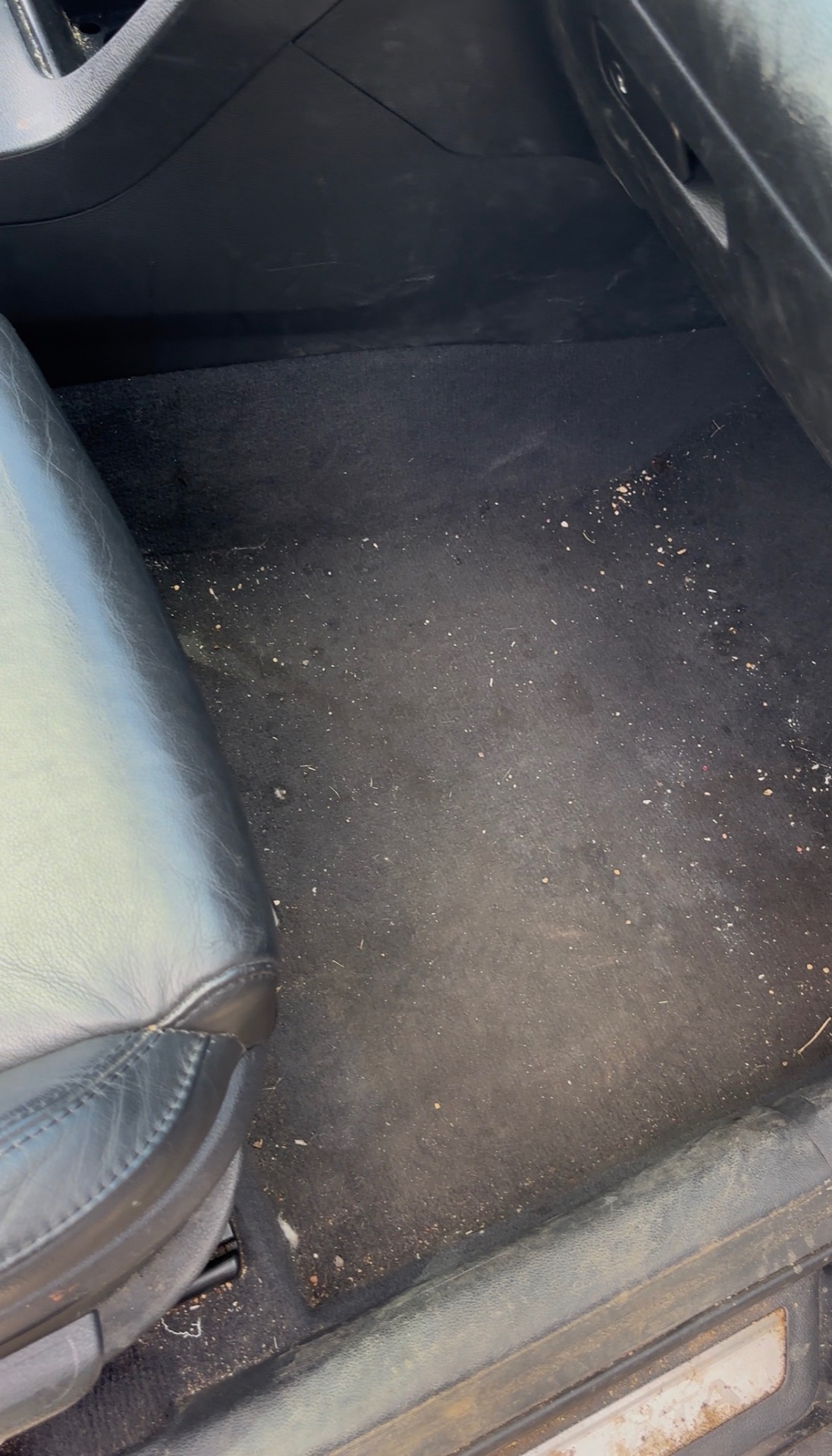 Interior Deep Clean — before